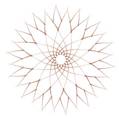 Obraz premium abstract red flower