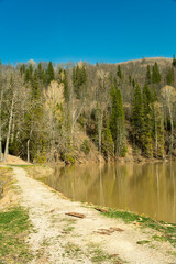 Panorama of the lake and green forest with fir trees in the park in summer in spring. Blue sky. with reflection in water. Park 