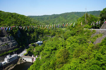 竜神大吊橋　こいのぼり祭り