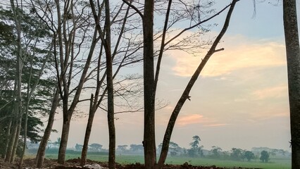 Beautiful views that soothe the eyes