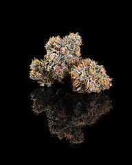 Grouped cannabis nug on black reflective surface