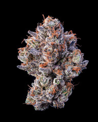 Single dried cannabis nug on black