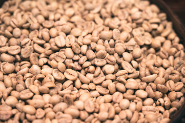 Dried raw coffee From the mountains of northern Thailand