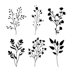 Set minimal feminine botanical floral branch in silhouette style. Vector trendy wedding greenery