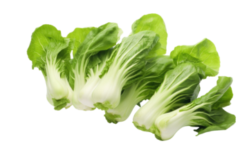 Dancing Lettuce Elegance on White or PNG Transparent Background.