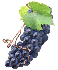 Grapes isolated on white