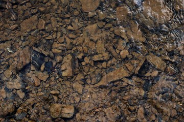 Macro photo of rocky bottom under water. Various shades of brown, gray, black color. Stones of different sizes. They have black cracks and crevices. Chaotic placement. Light reflections of water. blur