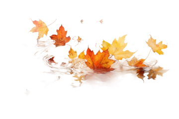 Dance of Autumn: Leaves Floating on Tranquil Waters on White or PNG Transparent Background.