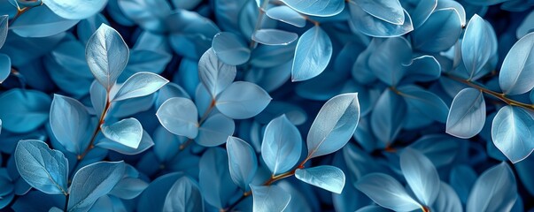 blue plant leaves in the nature in fall season, blue background