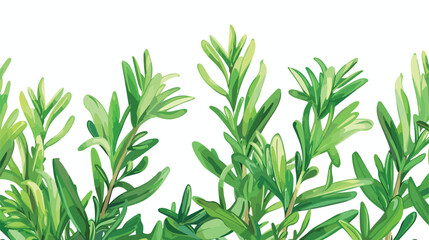 Fresh green rosemary on white background Vector illustration