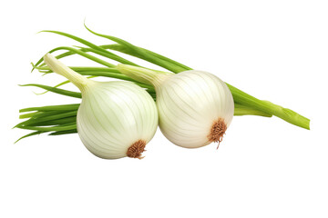 The Enchanting Onion Duo on White or PNG Transparent Background.