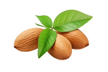 Almond Symphony: A Dance of Nature on White or PNG Transparent Background.