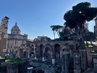 ruins, forum, rome, roman ruins, italy, 2024, tourist, travel