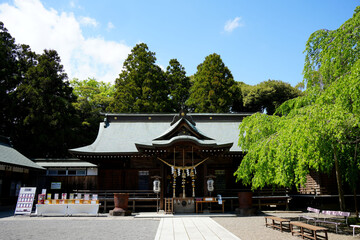 Fototapeta premium 吉田神社