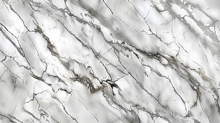 Black pattern graphic abstract light elegant gray for floor ceramic counter texture stone slab smooth tile silver natural for interior decoration on marble granite white background wall surface.