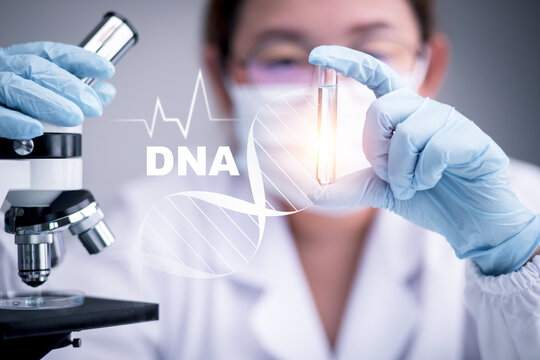 research and developement concept lab scientist biotechnologist holding glass ampoule phial with DNA strand, molecule of two polynucleotide chains forming double helix carrying 