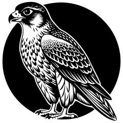 Fototapeta premium silhouette-of-falcon