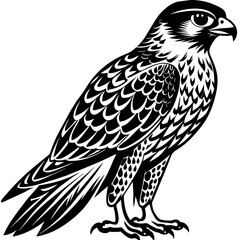 Fototapeta premium silhouette-of-falcon