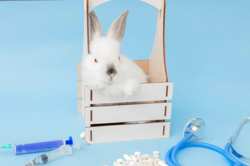 cute bunny rabbit isolated on blue, with pills,stethoscope and syringe.veterinary doctor...