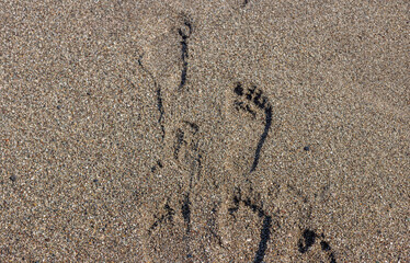 woman girl feet on beach against sea. steps on sands. relax in summer vacation concept. 