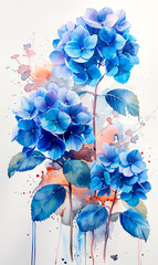 Watercolor painting of blue hydrangea flowers on white background.