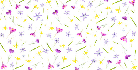 pattern from different spring flowers isolated on a white background. Top view. Springtime Florals