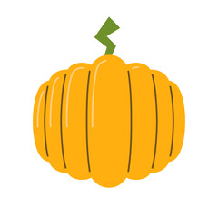 Pumpkin berry food ingredient and symbol of Halloween