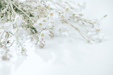 Beautiful tiny wild flowers bunch over white background, soft pastel colours, beauty invitation card design, wedding, birthday border art. Macro shot, nature, field flowers. 