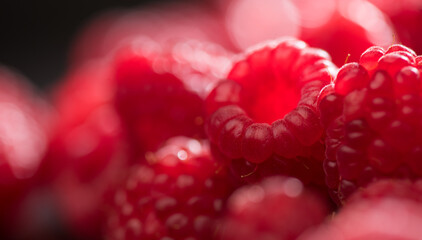 Raspberry fresh berries closeup, ripe fresh organic Raspberries red background, macro shot. Harvest concept 