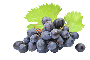 Bunch of grapes isolated