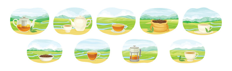 Tea Green Terrace Field Plantation with Hot Aromatic Beverage Brewing Vector Set