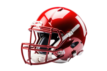 The Gladiatorial Protector on White or PNG Transparent Background.