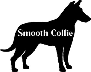  Smooth Collie Dog silhouette dog breeds logo dog monogram vector