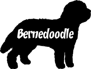 Bernedoodle Dog silhouette dog breeds logo dog monogram vector