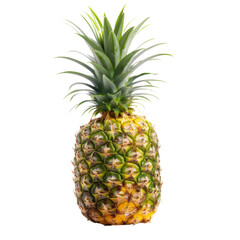 Fototapeta premium Ripe Pineapple Fruit Isolated without Background
