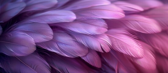 Abstract Fluffy Purple Feather Textured Background. Soft, Furry, Plush, Luxury, Elegant Pattern for Banner, Wallpaper or Fabric Design