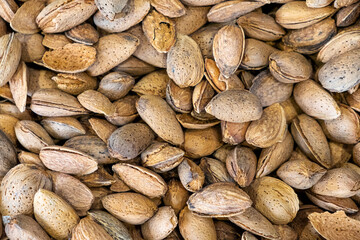 Almond nut in shell as textured background. Organic raw almonds