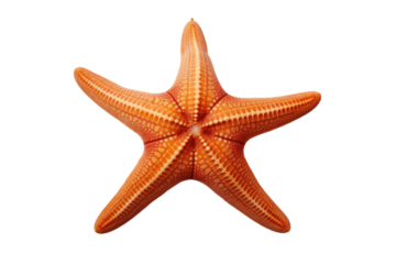 Glowing Guardian of the Deep on White or PNG Transparent Background.