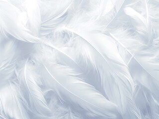 Obraz premium Realistic Fluffy White Feather Textured Background. Soft, Plush, Premium, Luxury, Elegant Pattern for Banner, Wallpaper or Fabric Design