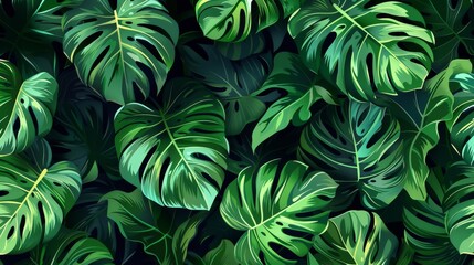 Monstera green leaves or Monstera Deliciosa in dark tones luscious green, background or green leafy tropical pine forest patterns for creative design element