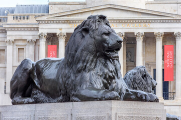 Trafalgar square lions at Nelson column with National Gallery at background, London, UK