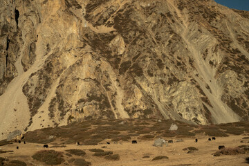 Landscape with snow. The Himalayas are stunning especially when the visibility is good which is usually the case after the monsoon - in the autumn and in the winter months. It's freezing though.