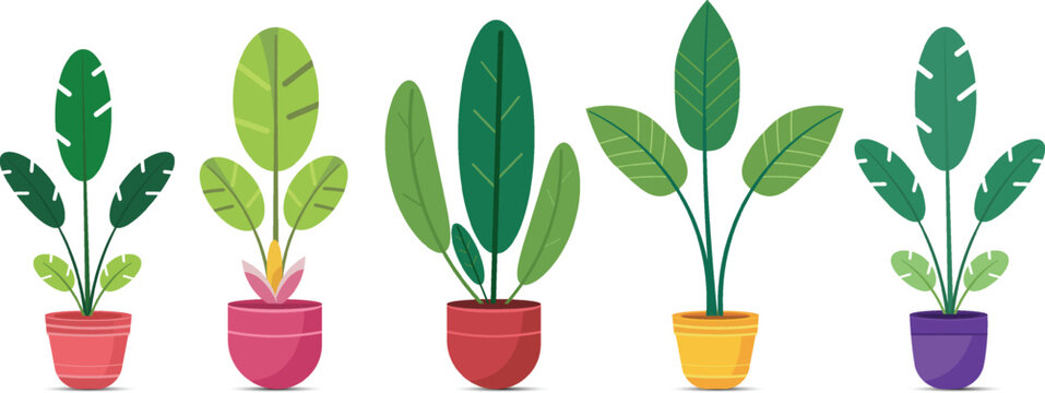 vector tree, white background, Little Jackfruit tree, Earth day, World Environment Day, National Simplicity Day, vector, tree, isolated on transparent background. Collection of green tree vector icons