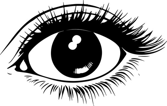 recommend clip art: Woman's eye with long eyelash and eye brow