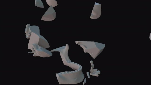 after the bullet hit the skull, the

Skull broke 