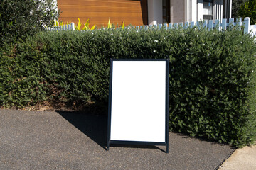 A blank white mockup background texture of a signboard against a garden tree hedge fence. Empty...