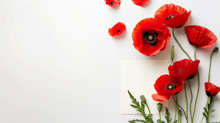 Red poppy flowers with card isolated on white background