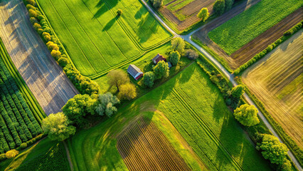 The drone's perspective highlights the textures of the grass, enhancing the visual appeal of the...