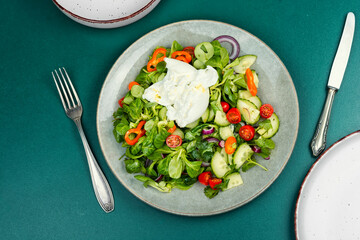 Salad of vegetables, lettuce and milk Burrata cheese.