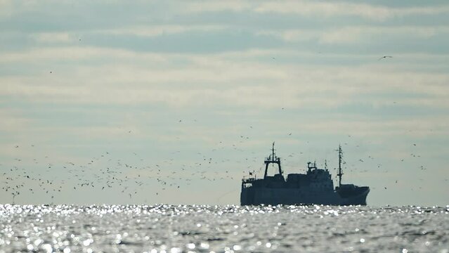 Big fishing boat trawling and catching fish as it crosses sea at horizon line during sunset. the fishing and sea-faring industry. Slow motion. Vessel crossing sea at horizon line.